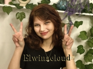 Elwinacloud