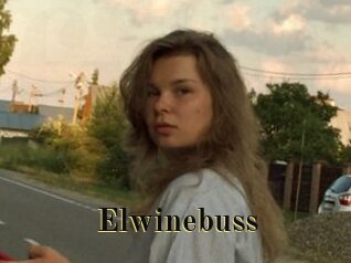 Elwinebuss