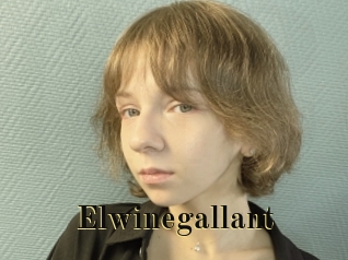 Elwinegallant