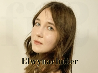 Elwynaclutter