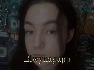 Elwynagapp