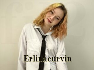 Erlinacurvin