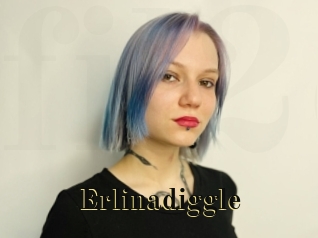 Erlinadiggle