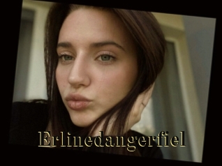 Erlinedangerfiel