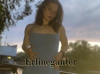Erlineganter