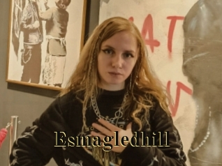 Esmagledhill