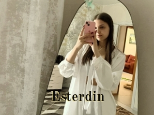Esterdin