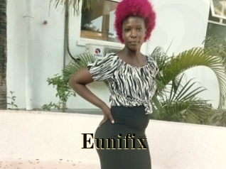 Eunifix