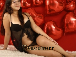 Evaconorr