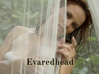 Evaredhead