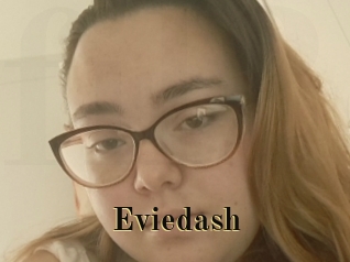Eviedash