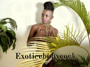 Exoticebonycock
