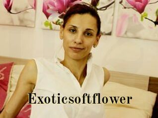 Exoticsoftflower
