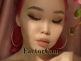 FactorCam