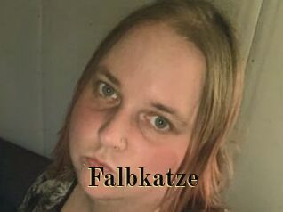 Falbkatze