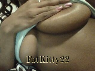 FatKitty22