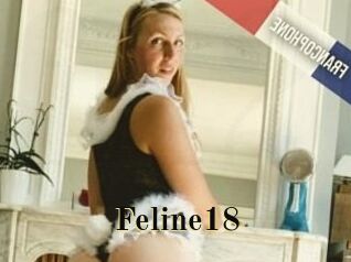 Feline18