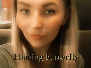Flaming_butterfly