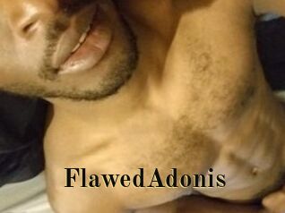 FlawedAdonis Films 2 Q