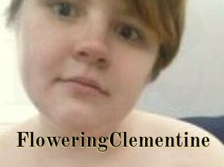 FloweringClementine