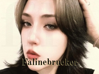 Falinebrucker