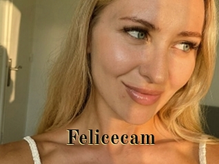 Felicecam