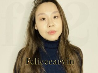 Felicecarvin