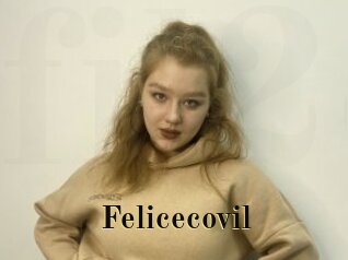 Felicecovil