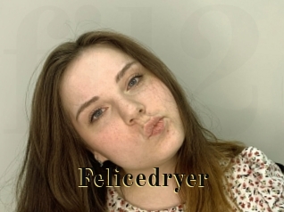 Felicedryer