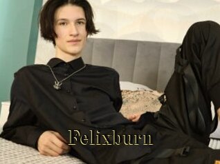 Felixburn
