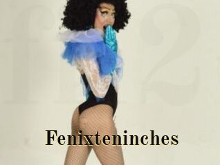 Fenixteninches