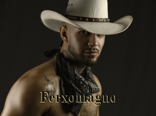 ferxomagno Films 2 Q