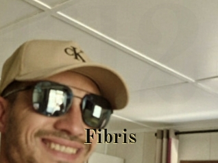 fibris Films 2 Q