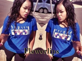 flowerlips Films 2 Q