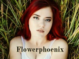 Flowerphoenix