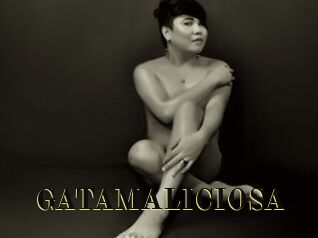 GATAMALICIOSA