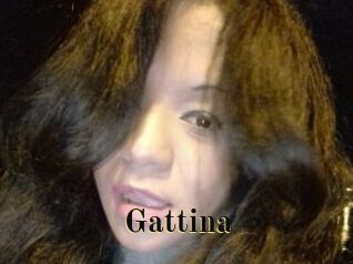 Gattina