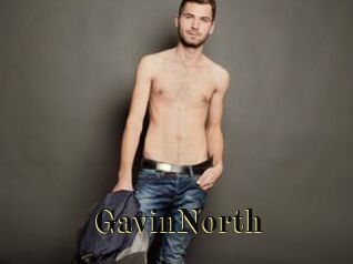 GavinNorth