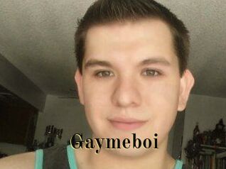 Gaymeboi
