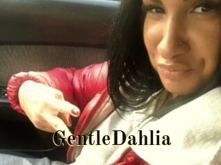 GentleDahlia