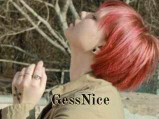 GessNice
