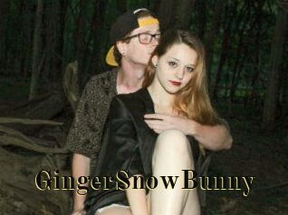 GingerSnowBunny