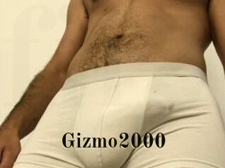 Gizmo2000