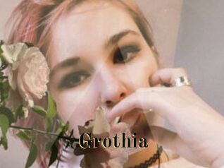 Grothia