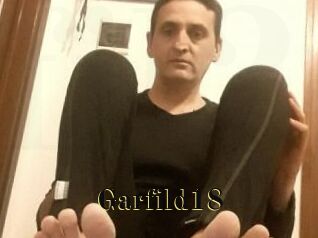 Garfild18