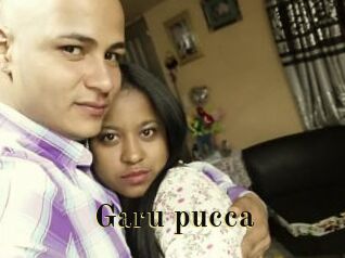 Garu_pucca