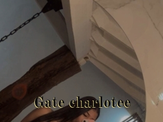 Gate_charlotee