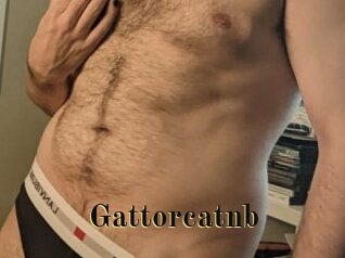 Gattorcatnb