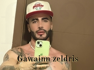 Gawainn_zeldris