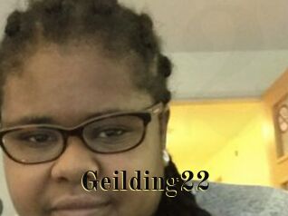 Geilding22